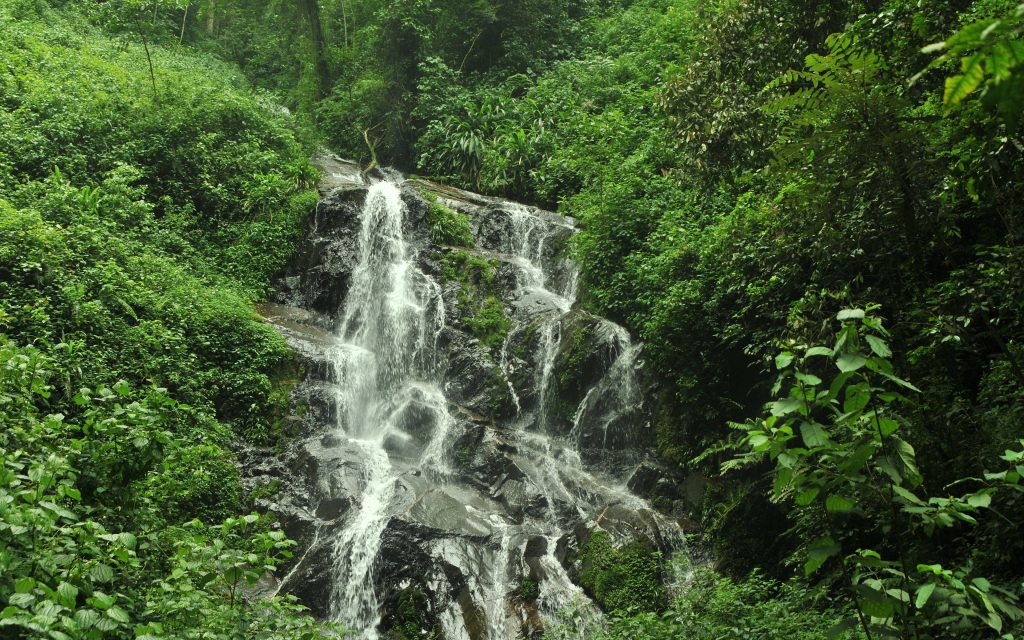 Best Places to Visit in Rwanda: The Ultimate Travel Guide